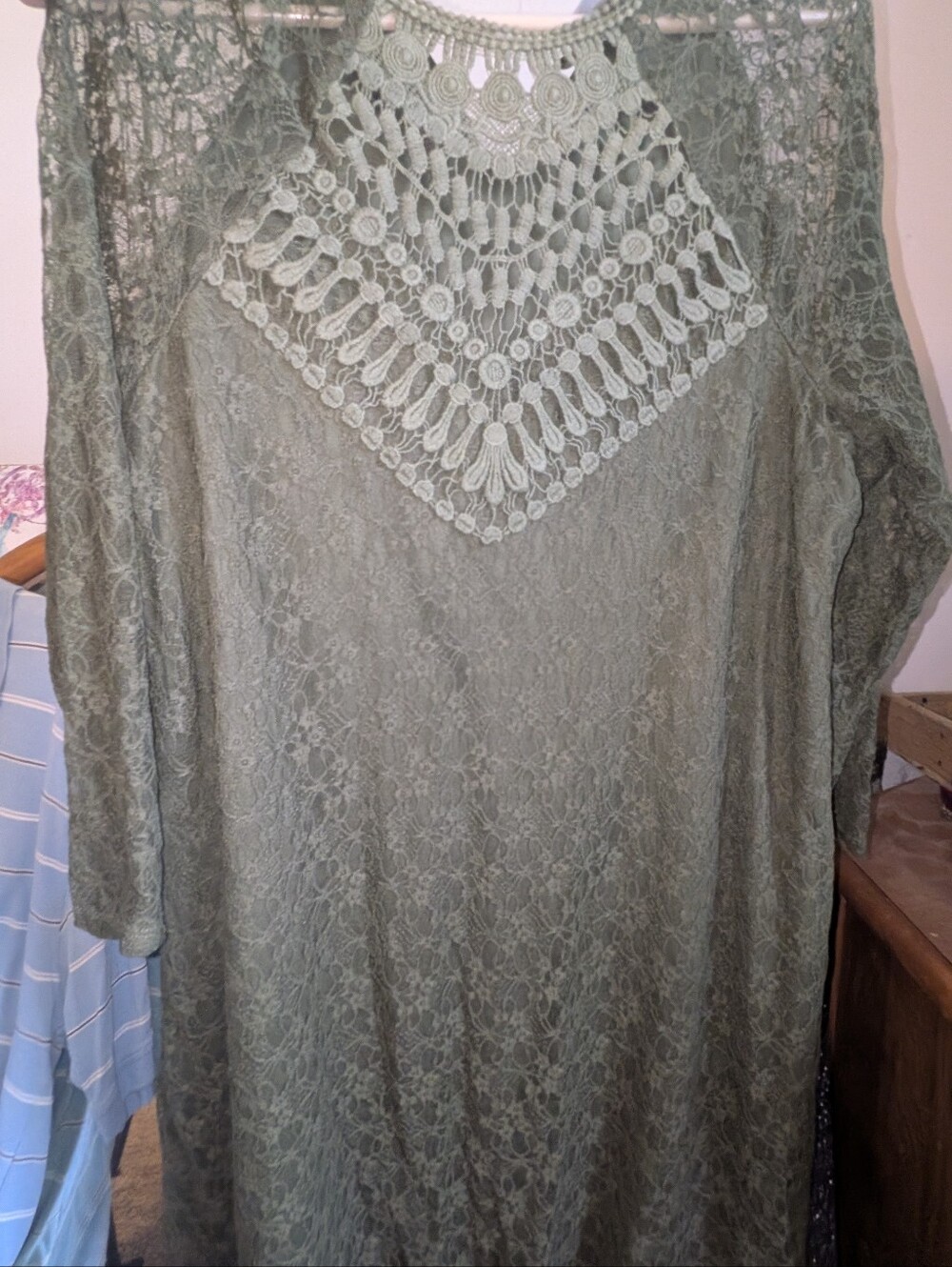 Vanity Olive Lace Long Sleeve Dress with Crochet Yoke